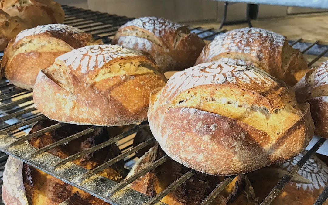 Finding Perfect Pairings for Artisan Bread